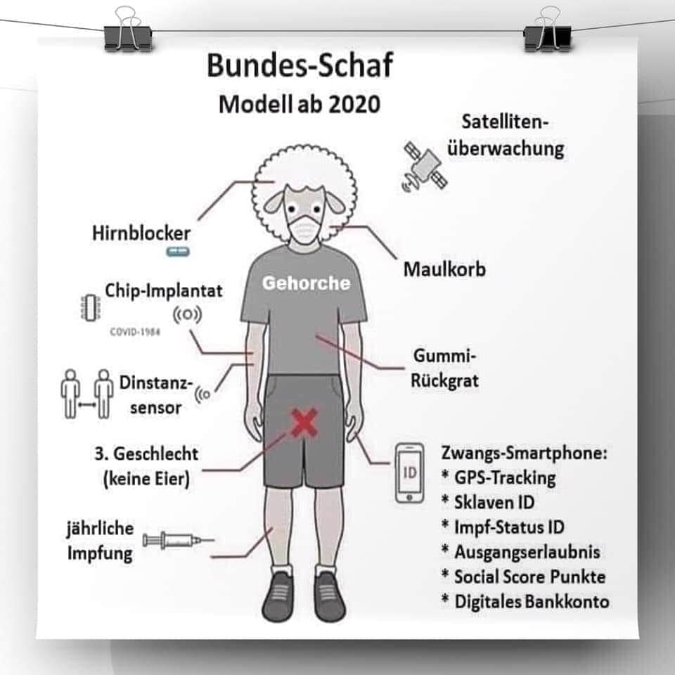 Bunde - Schaf 2020